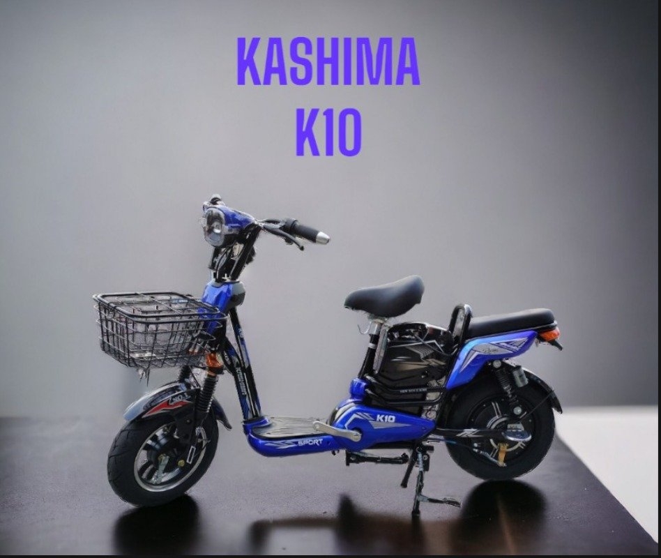 Xe đạp điện Kashima K10